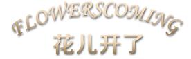 FLOWERSCOMING花儿开了