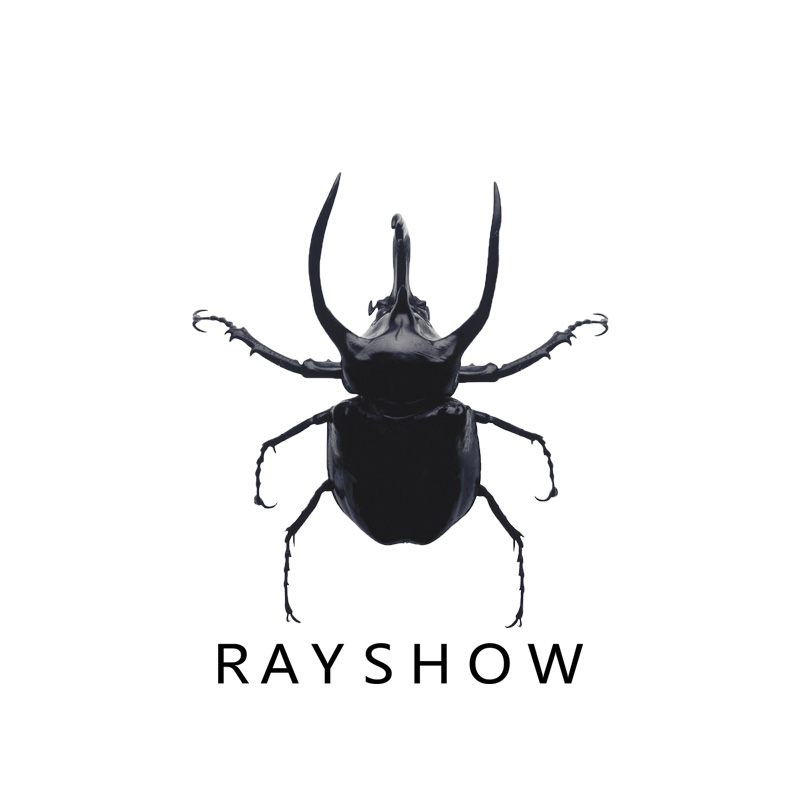 RAYSHOW雷修