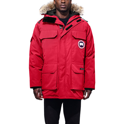 Canada Goose.jpg