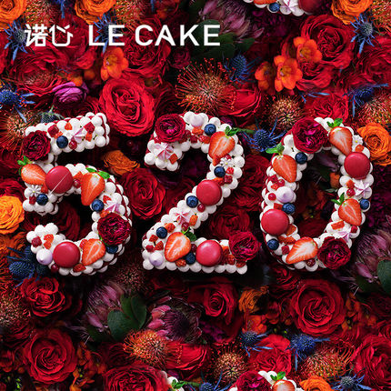 诺心LECAKE.jpg